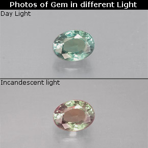 Alexandrite multicolore naturelle coupe ovale, 0,19 ct, VS