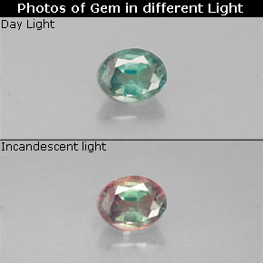 Alexandrite multicolore naturelle coupe ovale, 0,15 ct, VS