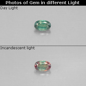 Alexandrite multicolore naturelle coupe ovale, 0,12 ct, VS