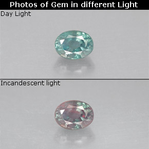 Alexandrite multicolore naturelle coupe ovale, 0,18 ct, VS