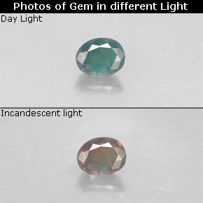 Alexandrite multicolore naturelle coupe ovale, 0,14 ct, VS