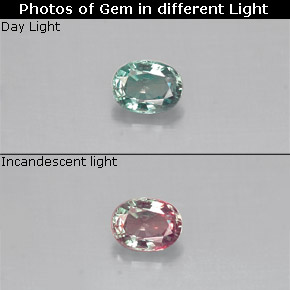Alexandrite multicolore naturelle coupe ovale, 0,14 ct, VS