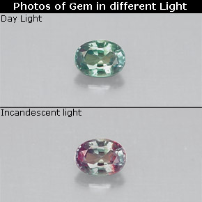 Alexandrite multicolore naturelle coupe ovale, 0,14 ct, VS