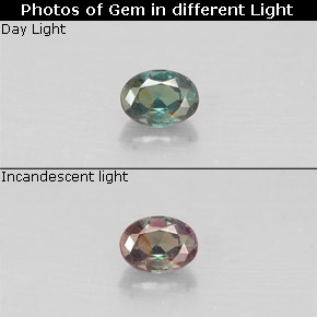 Alexandrite multicolore naturelle coupe ovale, 0,12 ct, VS