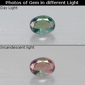 Alexandrite multicolore naturelle coupe ovale, 0,17 ct, VS