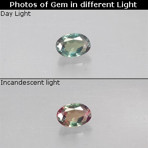 Alexandrite multicolore naturelle coupe ovale, 0,10 ct, VS