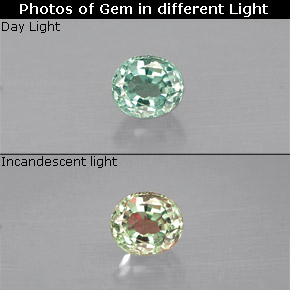Alexandrite multicolore naturelle coupe ovale, 0,14 ct, VS