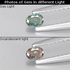 Alexandrite Vert rouge naturelle Coupe ovale, 0.12 ct, VS