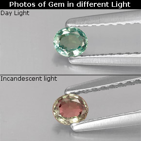 Alexandrite Vert rouge naturelle Coupe ovale, 0.15 ct, VS