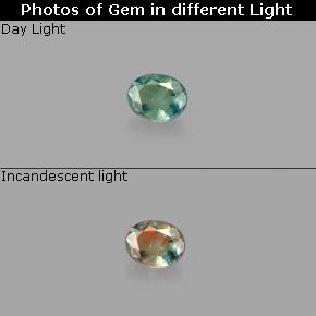 Alexandrite multicolore naturelle coupe ovale, 0,12 ct, VS