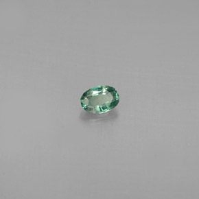 Alexandrite Vert rouge naturelle Coupe ovale, 0.12 ct, VS