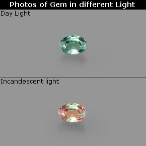 Alexandrite Vert rouge naturelle Coupe ovale, 0.10 ct, VS