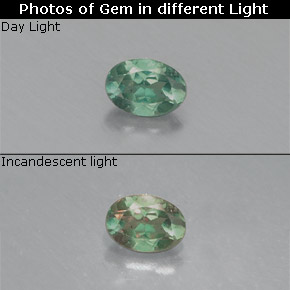 Alexandrite multicolore naturelle coupe ovale, 0,13 ct, VS