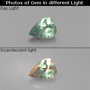 Alexandrite multicolore naturelle en forme de poire, 0,13 ct, VS