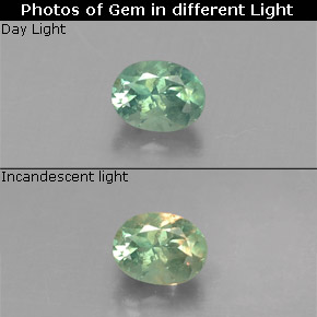 Alexandrite multicolore naturelle coupe ovale, 0,20 ct, VS