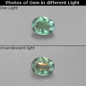 Alexandrite multicolore naturelle coupe ovale, 0,13 ct, VS