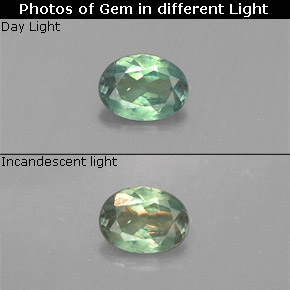 Alexandrite multicolore naturelle coupe ovale, 0,14 ct, VS