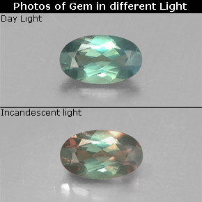 Alexandrite Vert rouge naturelle Coupe ovale, 0.27 ct, VS