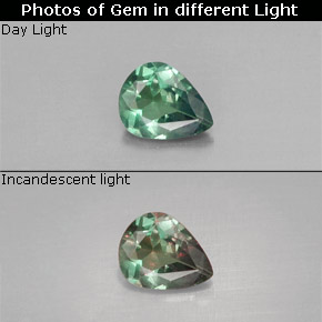 Alexandrite multicolore naturelle en forme de poire, 0,29 ct, VS