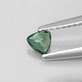 Alexandrite Vert rouge naturelle Trillion, 0.17 ct, VS