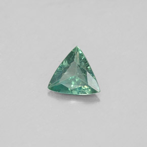 Alexandrite multicolore naturelle trillion, 0,19 ct, VS