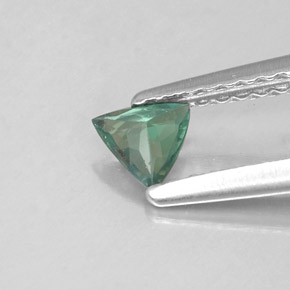 Alexandrite multicolore naturelle trillion, 0,19 ct, VS