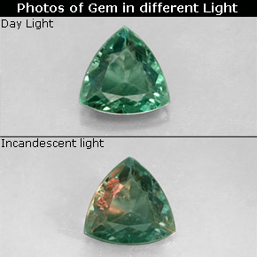 Alexandrite multicolore naturelle trillion, 0,24 ct, VS