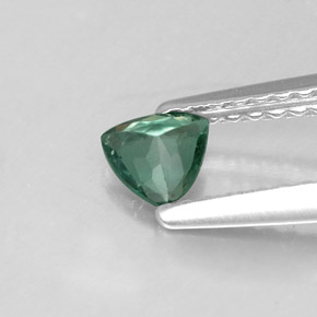Alexandrite multicolore naturelle trillion, 0,24 ct, VS