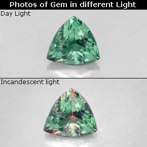 Alexandrite Vert rouge naturelle Trillion, 0.24 ct, VS