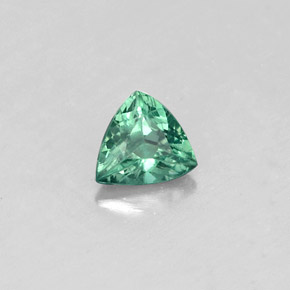 Alexandrite Vert rouge naturelle Trillion, 0.24 ct, VS
