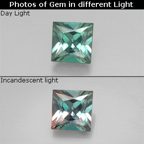 Alexandrite multicolore naturelle carré, 0,33 ct, VS