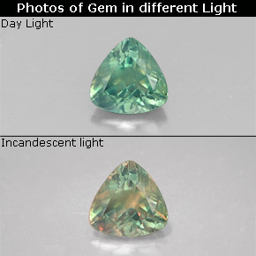 Alexandrite multicolore naturelle trillion, 0,24 ct, VS