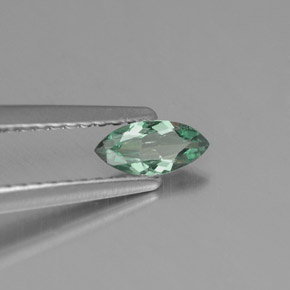 Alexandrite multicolore naturelle marquise, 0,25 ct, VS