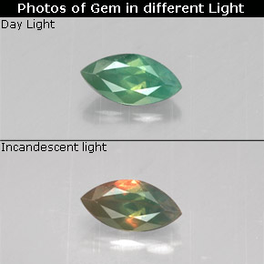 Alexandrite multicolore naturelle marquise, 0,16 ct, VS