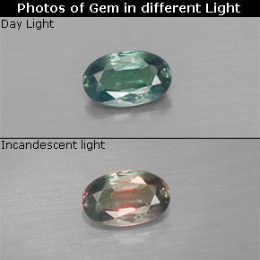 Alexandrite multicolore naturelle coupe ovale, 0,17 ct, VS