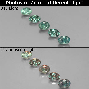 Achetez naturel ct multicolore alexandrite gems, coupe ovale, en provenance tanzanie chez gemselect. en stock, livraison internationale!