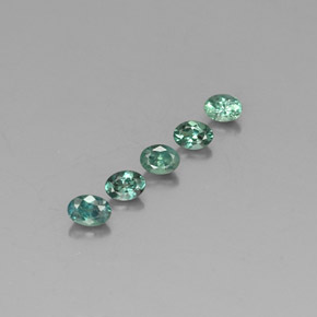 Achetez naturel ct multicolore alexandrite gems, coupe ovale, en provenance tanzanie chez gemselect. en stock, livraison internationale!
