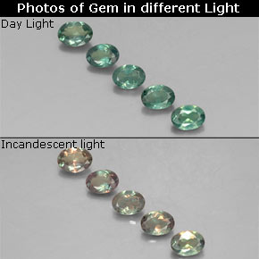 Achetez naturel ct multicolore alexandrite gems, coupe ovale, en provenance tanzanie chez gemselect. en stock, livraison internationale!
