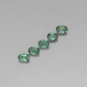 Achetez naturel ct multicolore alexandrite gems, coupe ovale, en provenance tanzanie chez gemselect. en stock, livraison internationale!