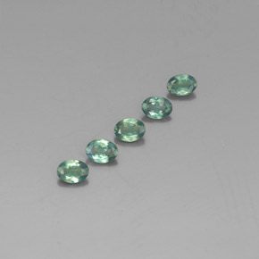 Achetez naturel ct multicolore alexandrite gems, coupe ovale, en provenance tanzanie chez gemselect. en stock, livraison internationale!