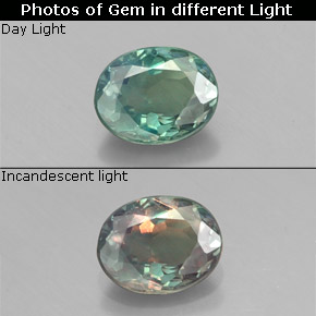 Alexandrite multicolore naturelle coupe ovale, 0,47 ct, VS