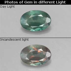 Alexandrite multicolore naturelle coupe ovale, 0,45 ct, VS-SI