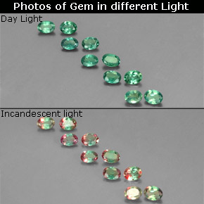 Achetez naturel ct Vert rouge Alexandrite gems, Coupe ovale, En provenance Tanzanie chez GemSelect. En stock, livraison internationale!