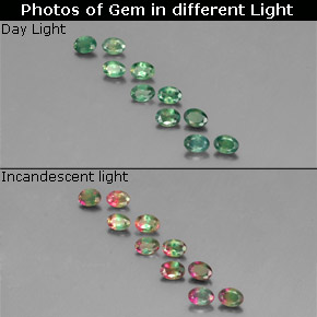 Achetez naturel ct multicolore alexandrite gems, coupe ovale, en provenance tanzanie chez gemselect. en stock, livraison internationale!