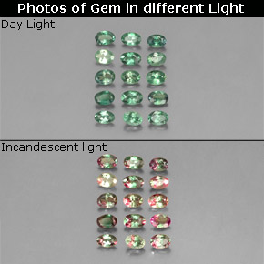Achetez naturel ct multicolore alexandrite gems, coupe ovale, en provenance tanzanie chez gemselect. en stock, livraison internationale!