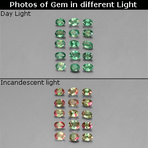 Achetez naturel ct multicolore alexandrite gems, coupe ovale, en provenance tanzanie chez gemselect. en stock, livraison internationale!