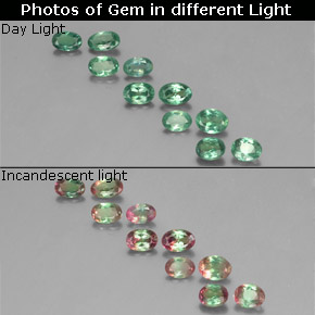 Achetez naturel ct multicolore alexandrite gems, coupe ovale, en provenance tanzanie chez gemselect. en stock, livraison internationale!
