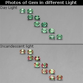 Achetez naturel ct multicolore alexandrite gems, coupe ovale, en provenance tanzanie chez gemselect. en stock, livraison internationale!