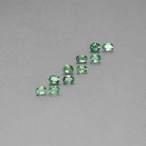 Achetez naturel ct multicolore alexandrite gems, coupe ovale, en provenance tanzanie chez gemselect. en stock, livraison internationale!