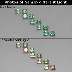 Achetez naturel ct Vert rouge Alexandrite gems, Coupe ovale, En provenance Tanzanie chez GemSelect. En stock, livraison internationale!